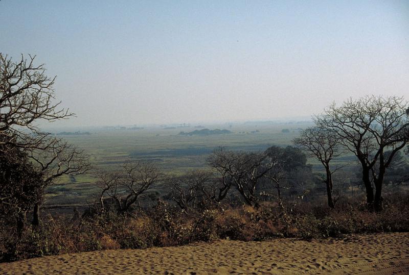 mongu25m.jpg