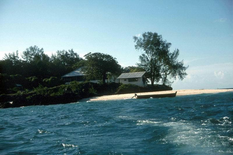 zanzibar33m.jpg