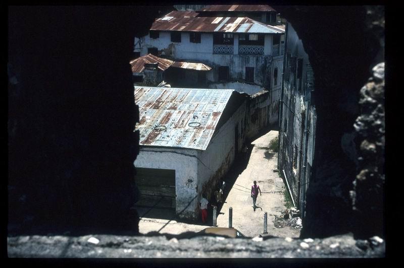 zanzibar42m.jpg